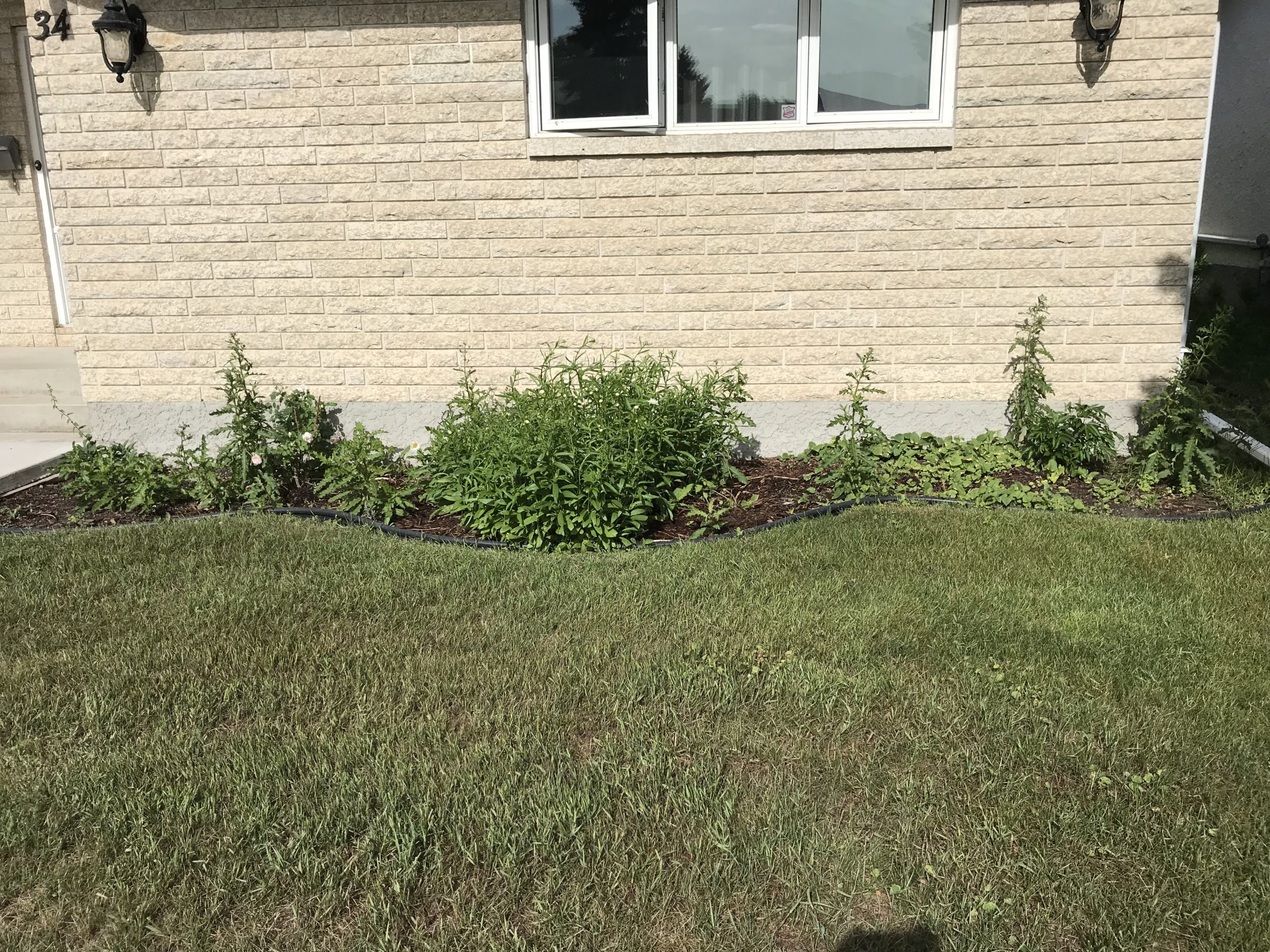 Garden before rock bed installation