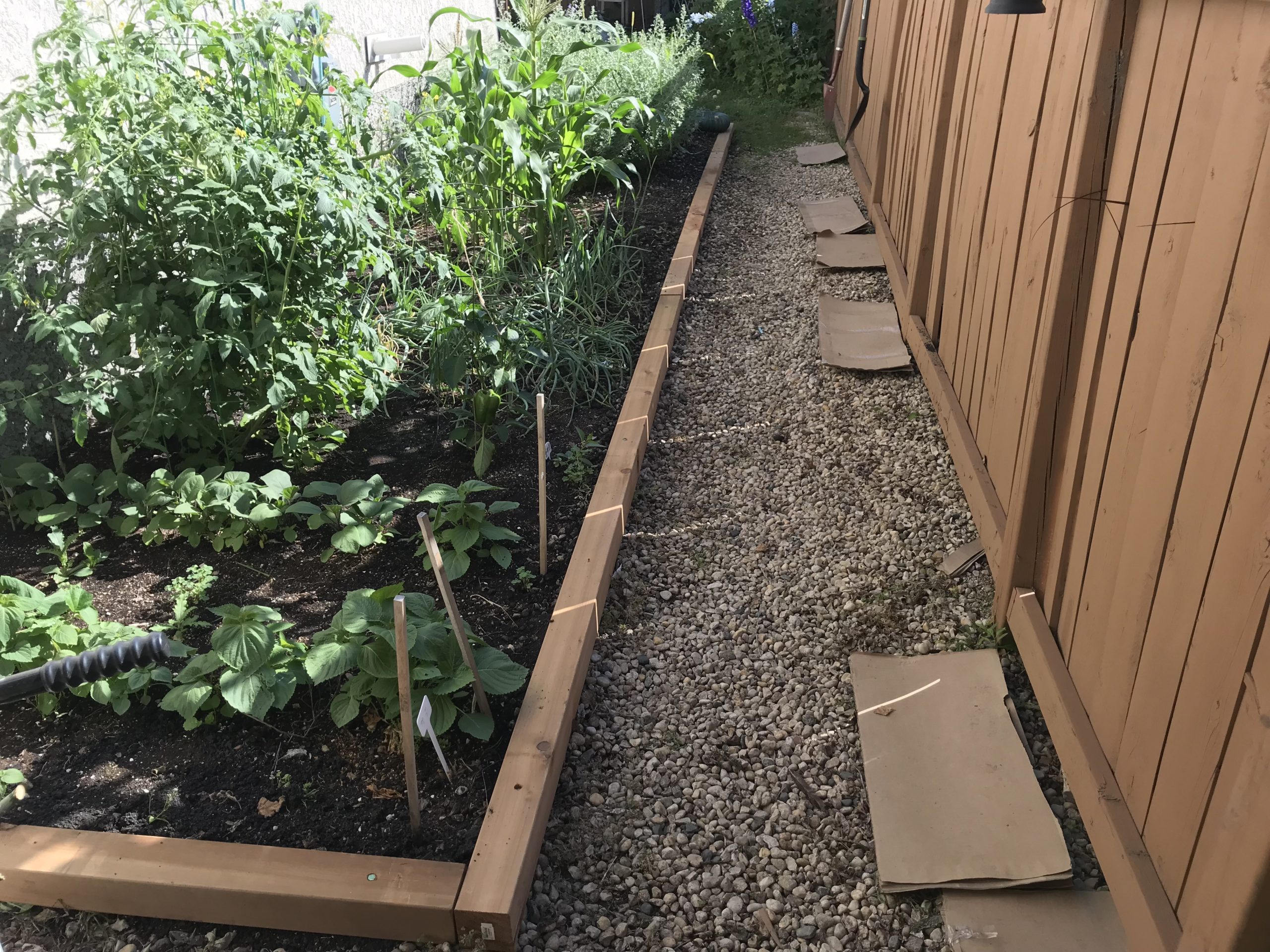 Wood timber edging installed along raised garden bed with clean gravel path