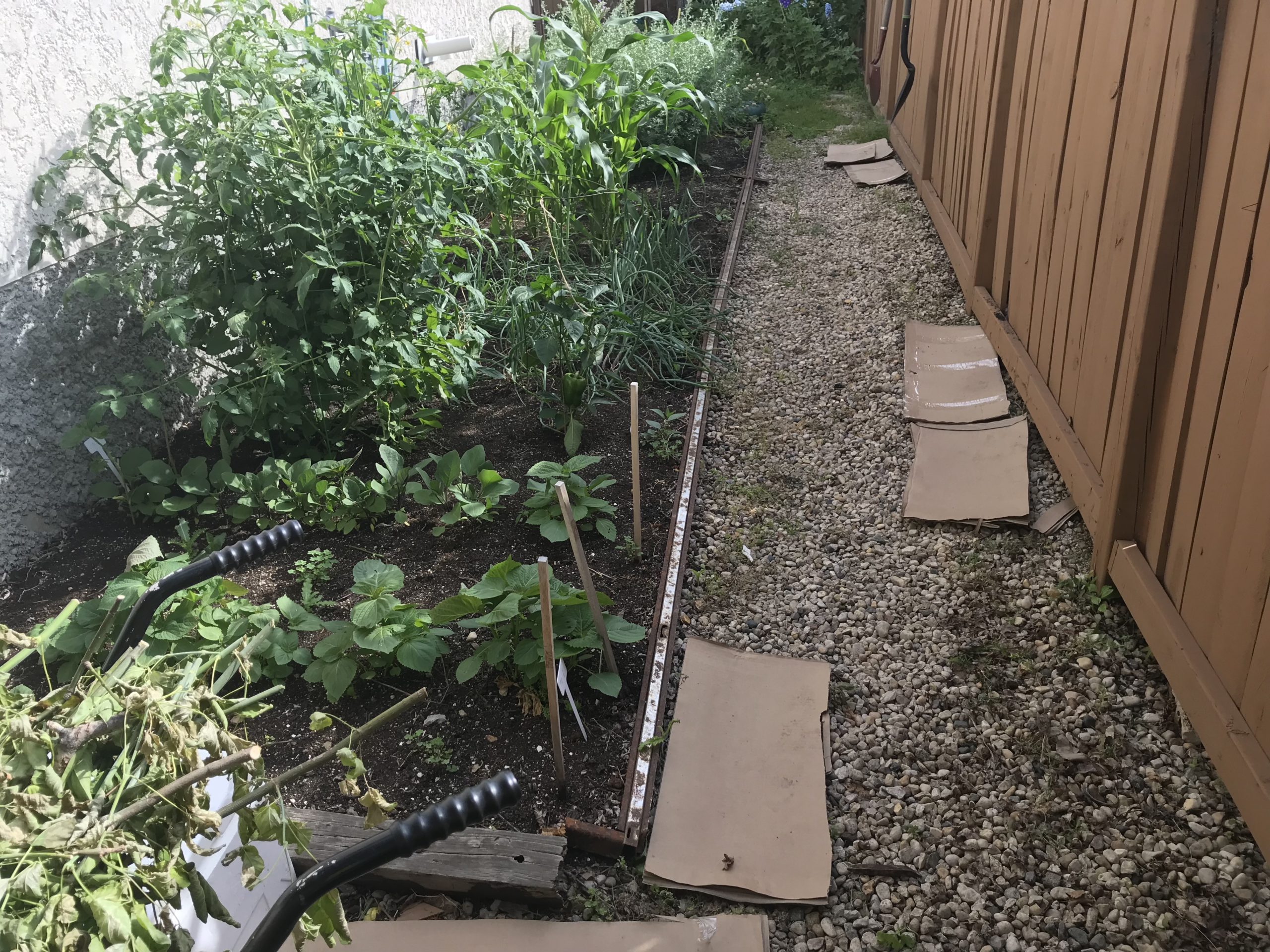 Garden bed before timber edging