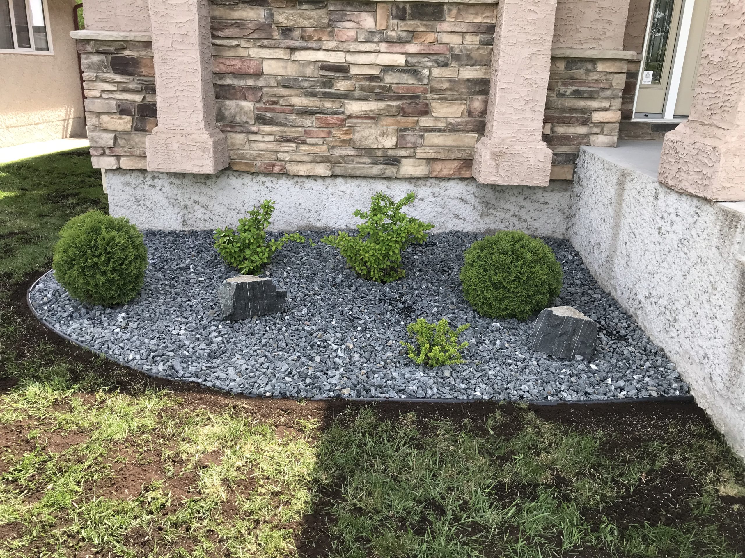 Slate blue rock bed with healthy globe cedars, decorative boulders, and clean edging