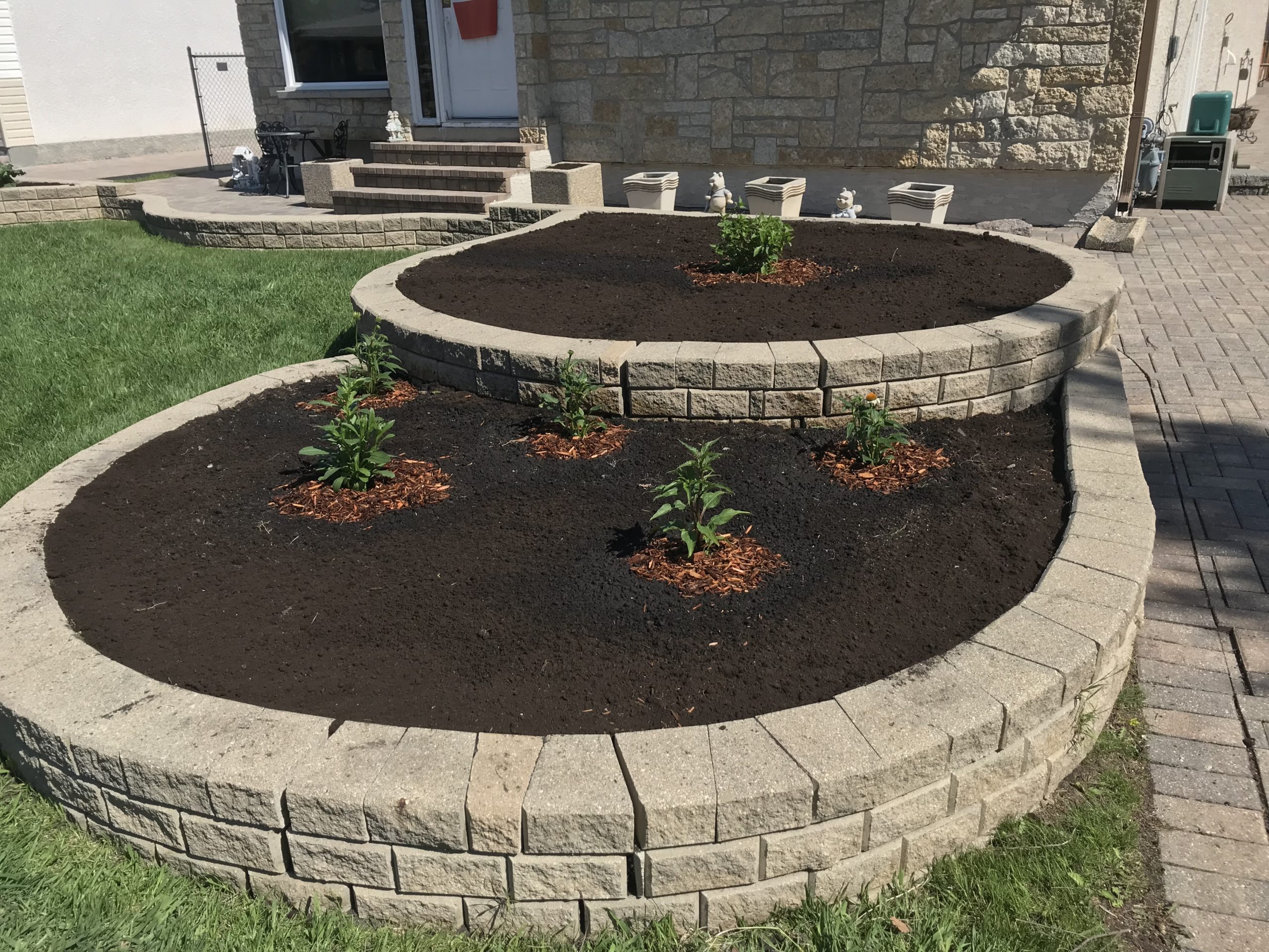 Refreshed tiered planters with fresh soil, new perennial plantings, and cedar mulch rings