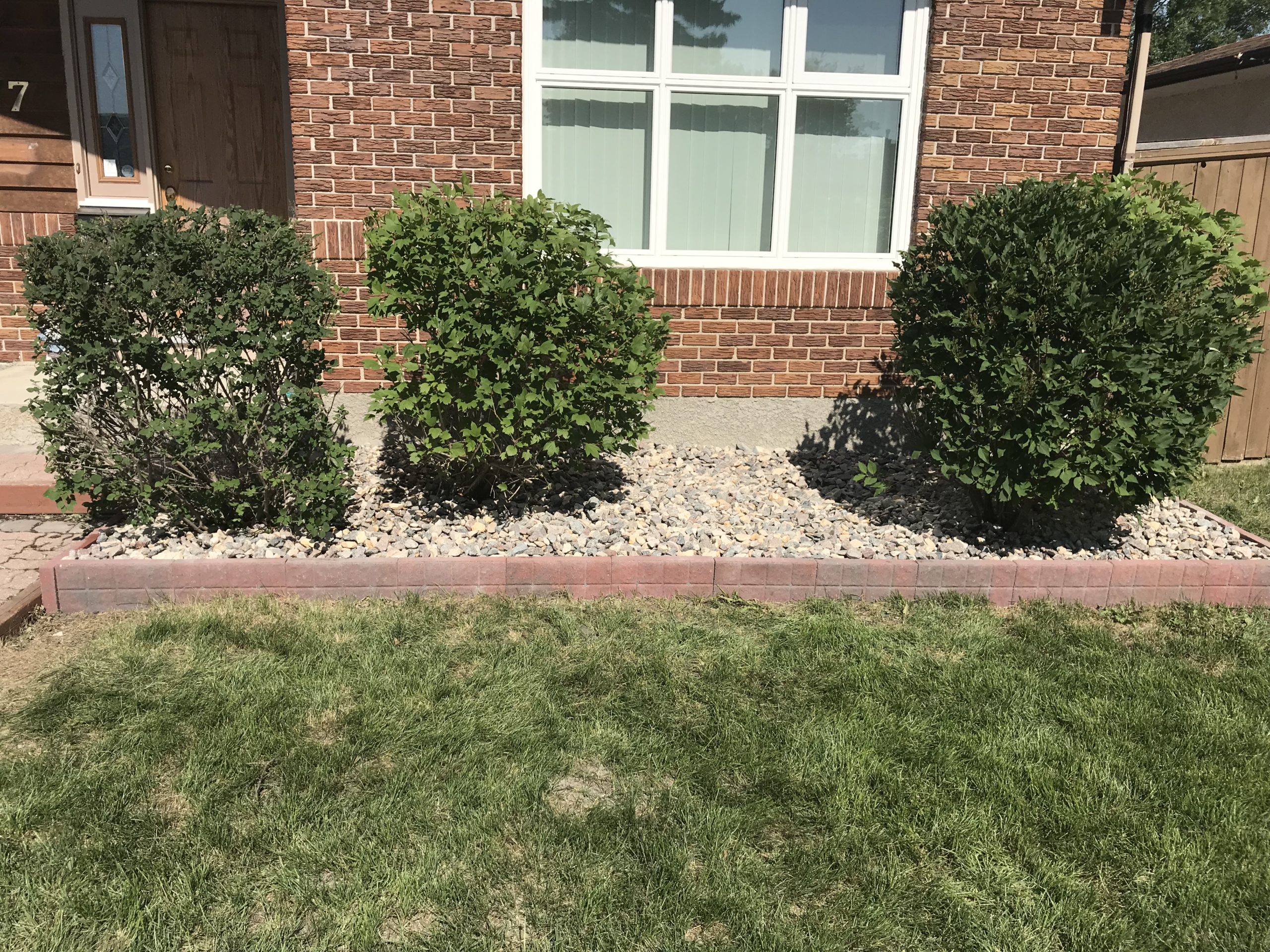 Professionally trimmed shrubs with river rock bed and brick edging installed
