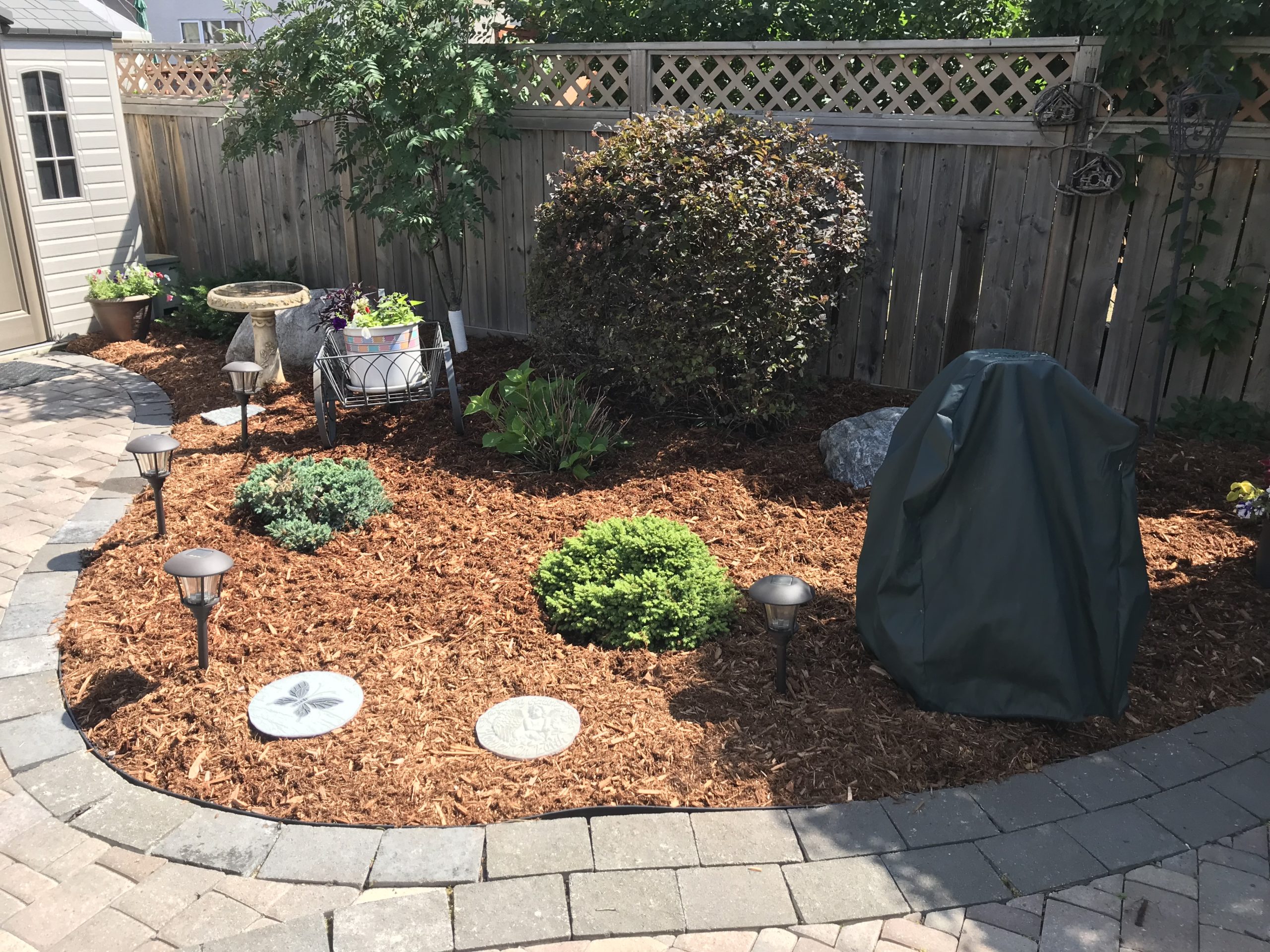 Fresh cedar mulch application refreshing backyard garden bed