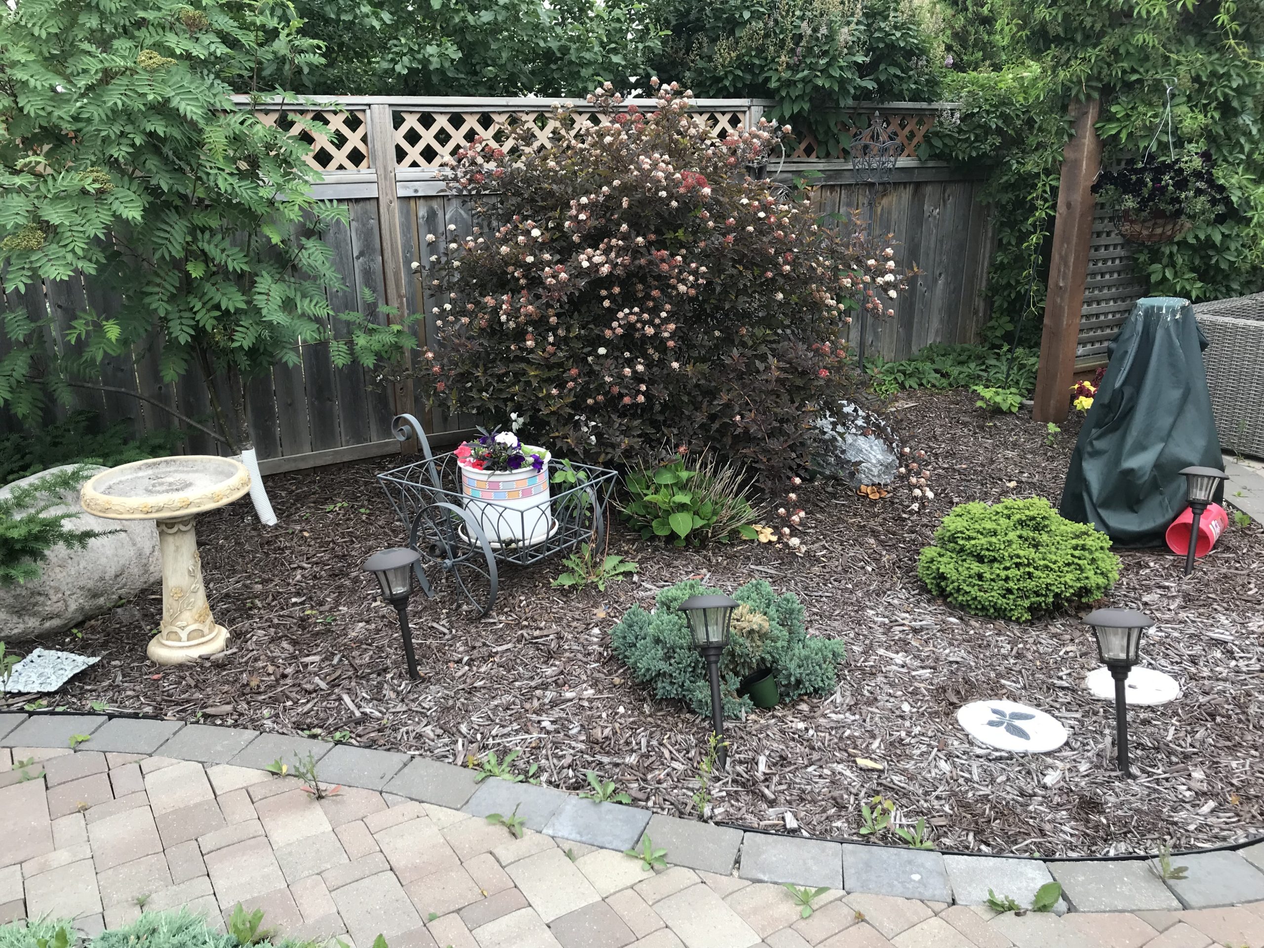 Backyard garden bed before mulch refresh
