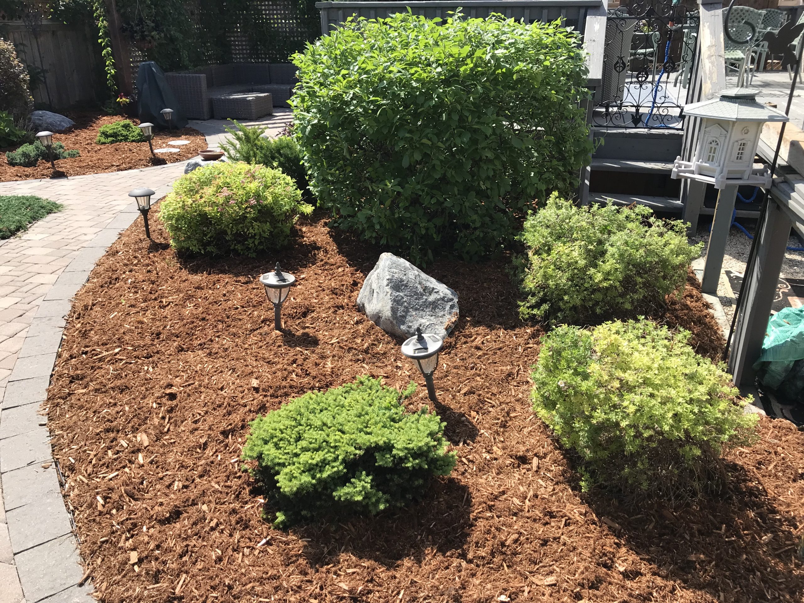 Cedar mulch refresh completing backyard garden bed renovation