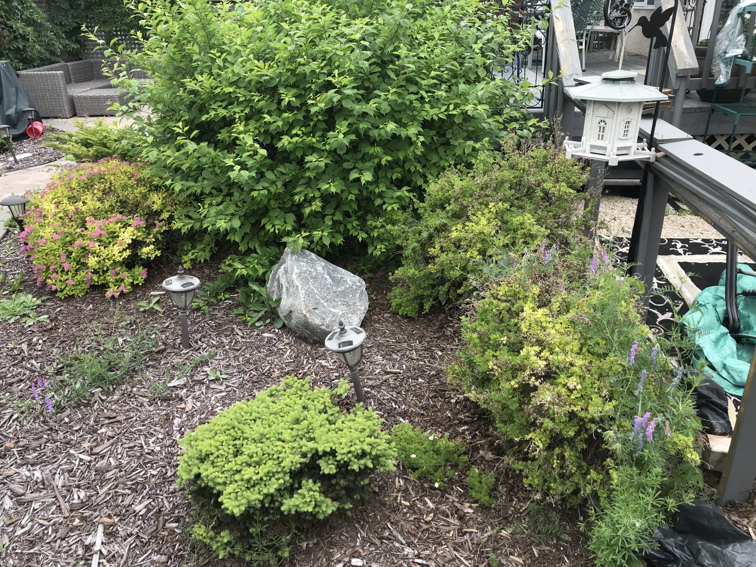 Garden bed before mulch refresh