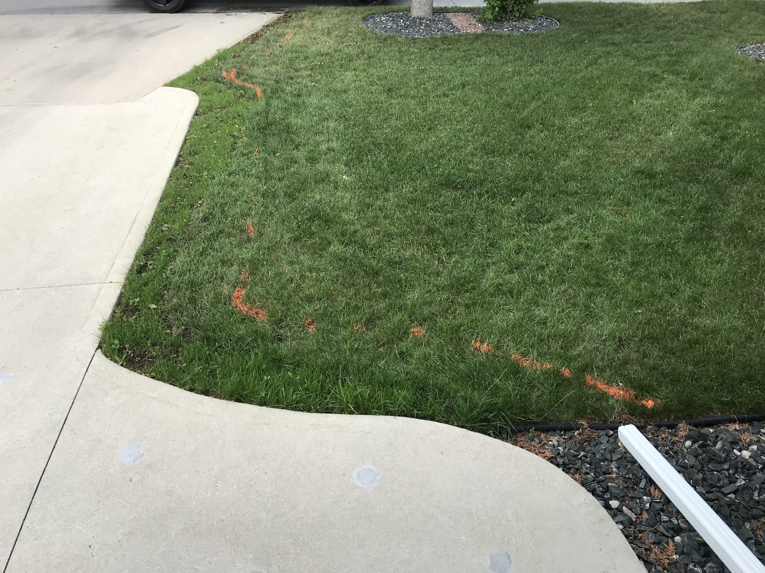 Driveway edge before rock border
