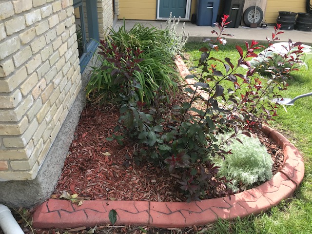 Mulch bed before rock conversion