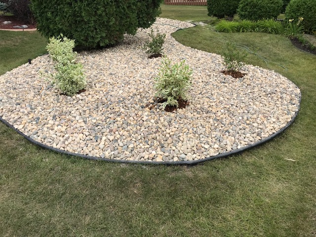 Clean river rock tree ring with trimmed shrubs and fresh black edging