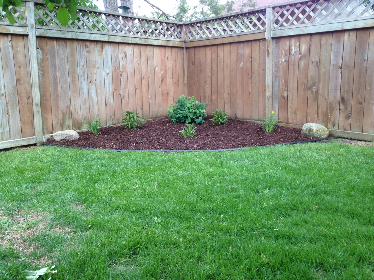 New curved garden bed installed with mulch, perennial plantings, and boulder accent