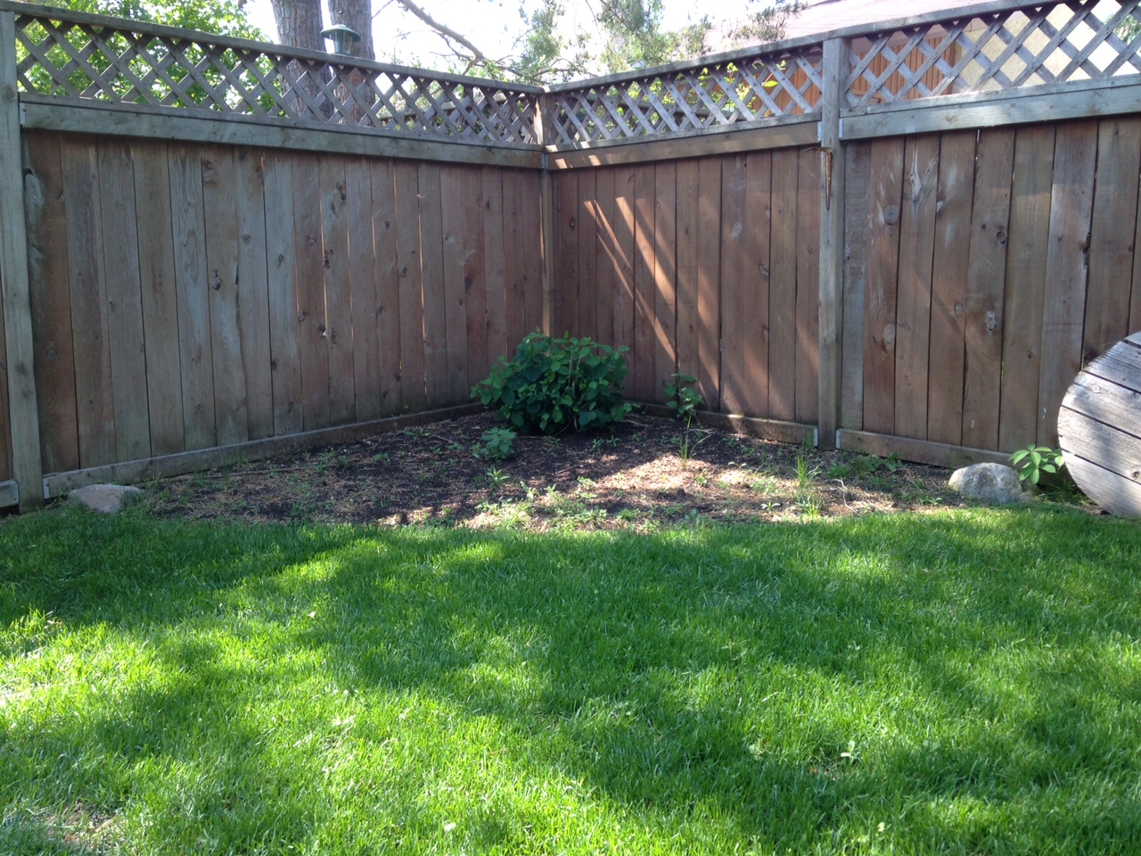 Area before new curved garden bed