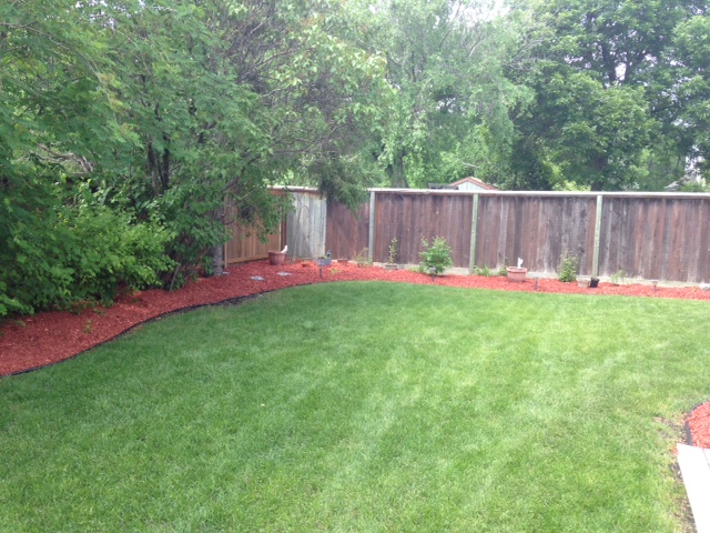 Fresh red cedar mulch application along fence line garden bed