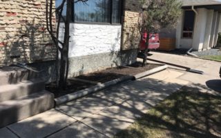 Overgrown flower bed before cleanup