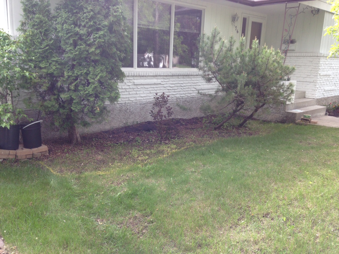 Foundation before mulch bed installation