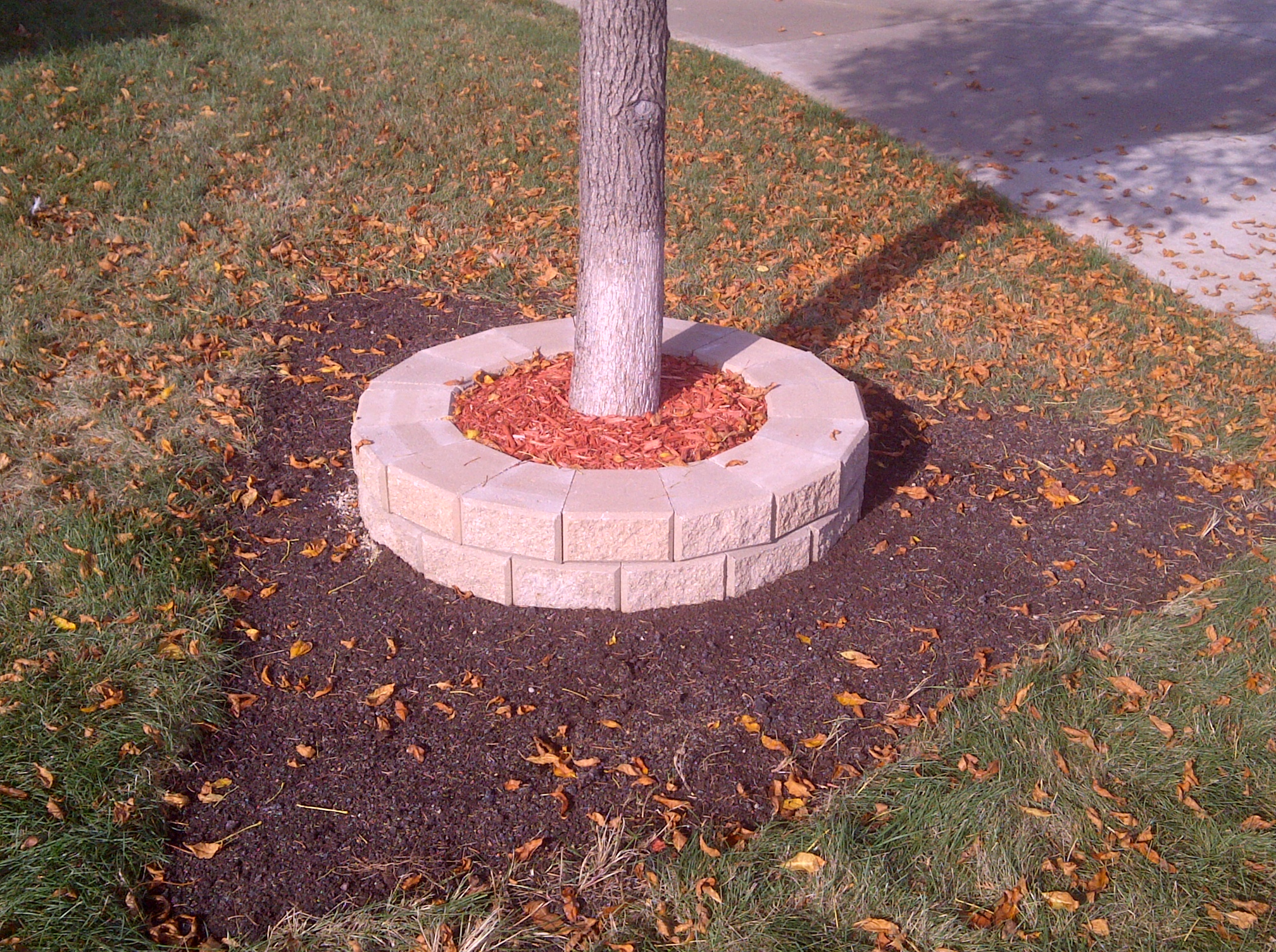 New stone block tree ring with red mulch and professional installation