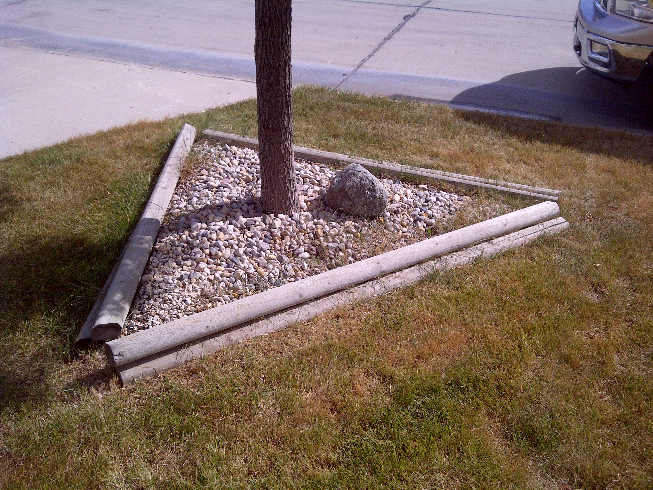 Tree area before stone block ring