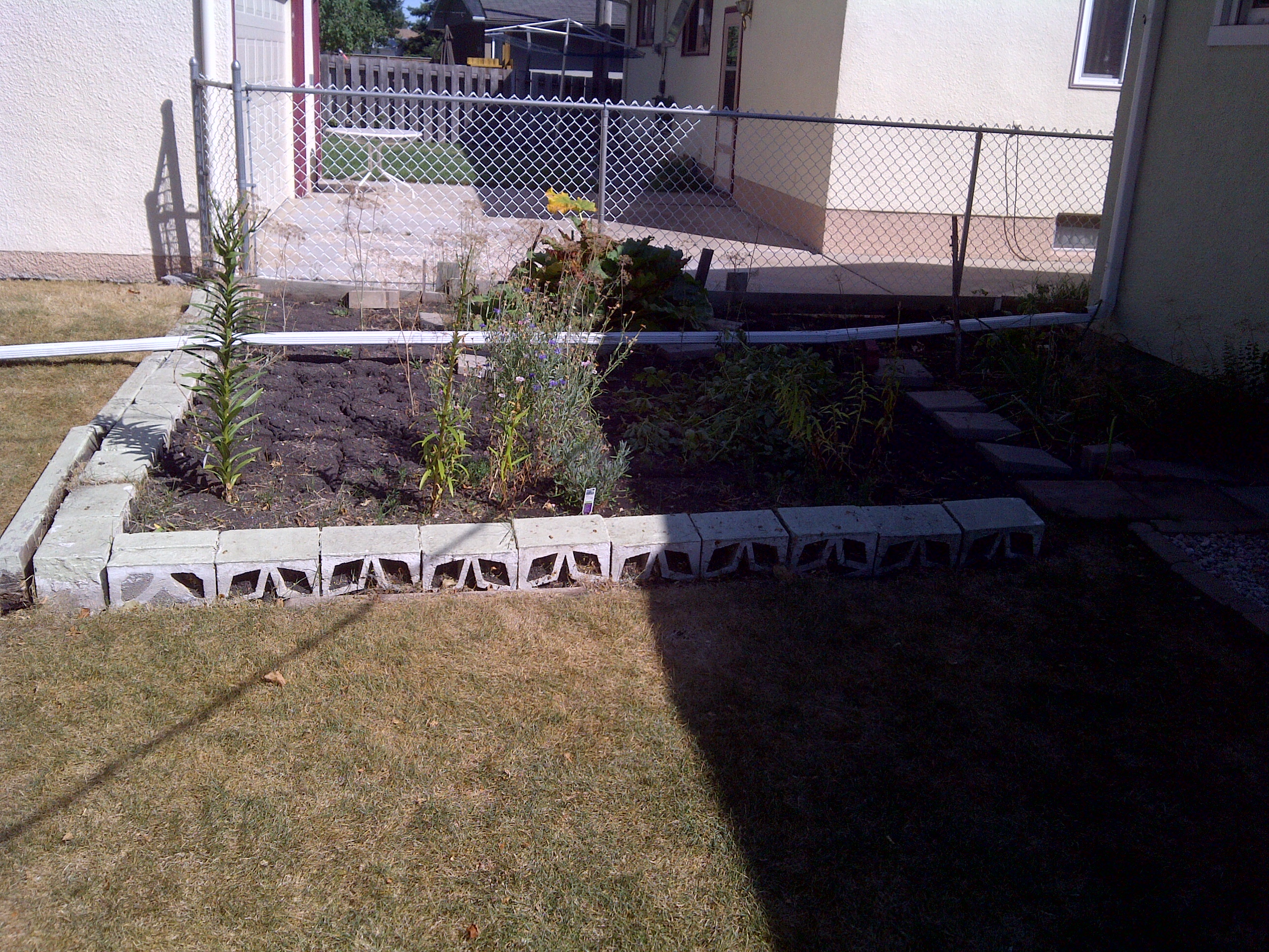 Garden bed before sod replacement