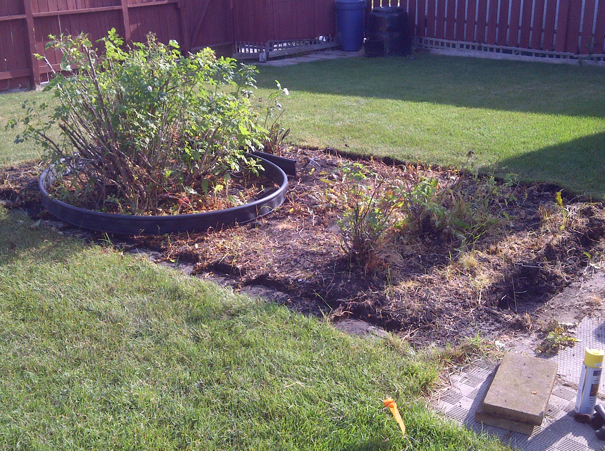 Area before sod installation