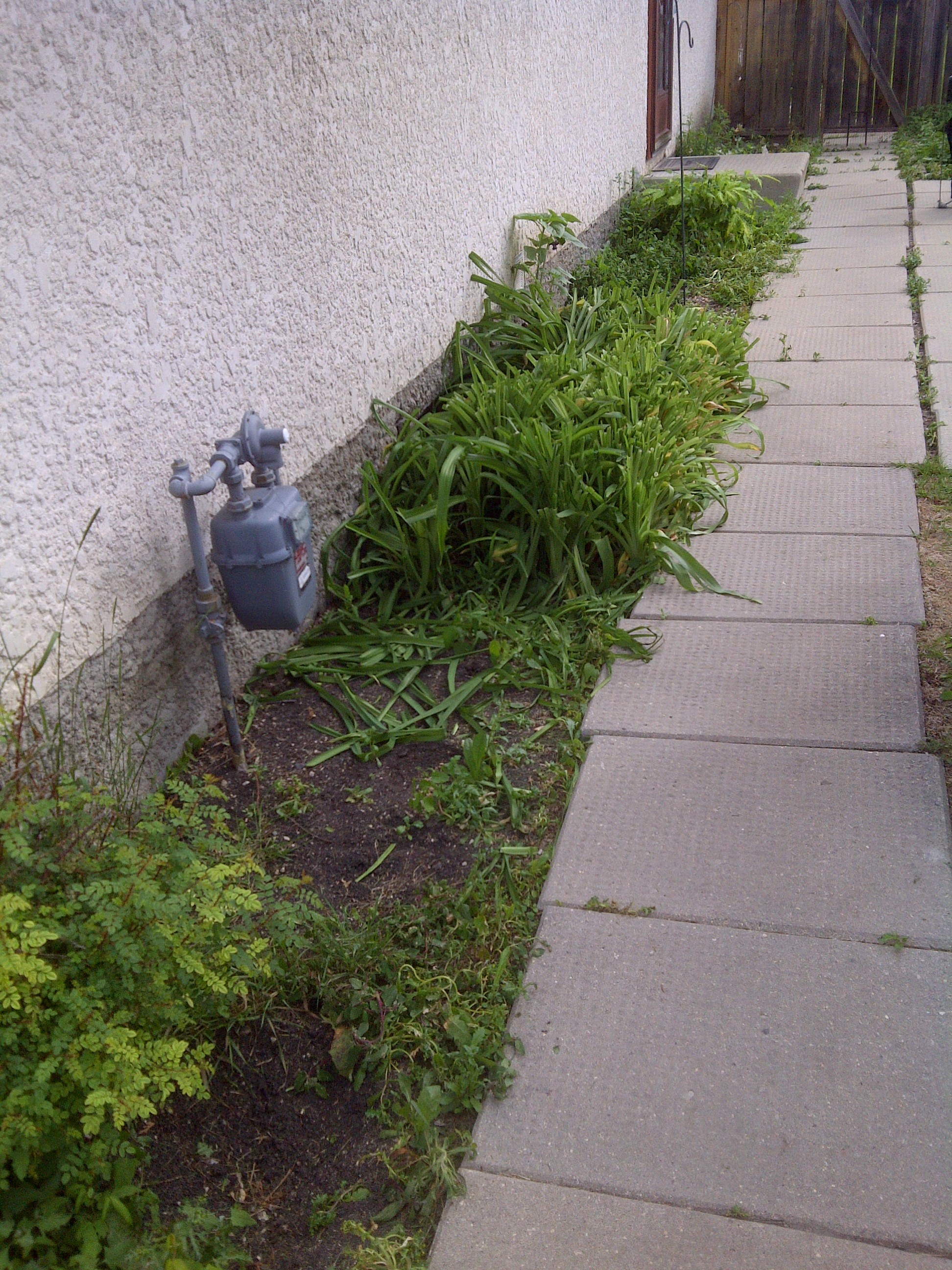 Foundation before rock pathway