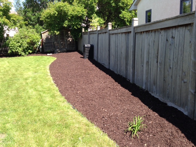 New mulch bed installed along entire fence line with clean curved edging