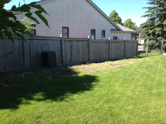 Fence line before mulch bed