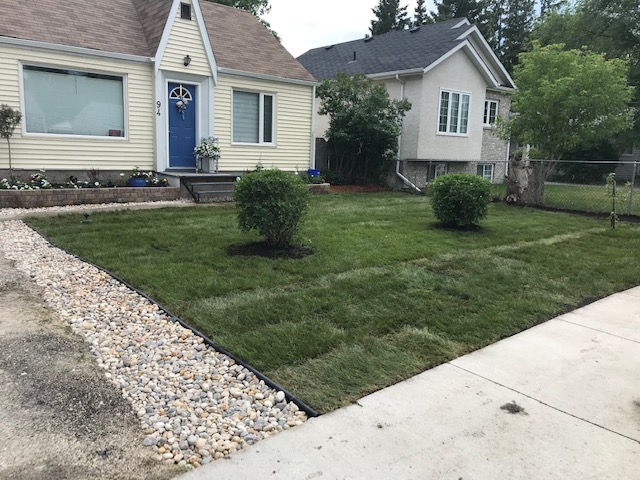New sod lawn installed with river rock border along driveway edge