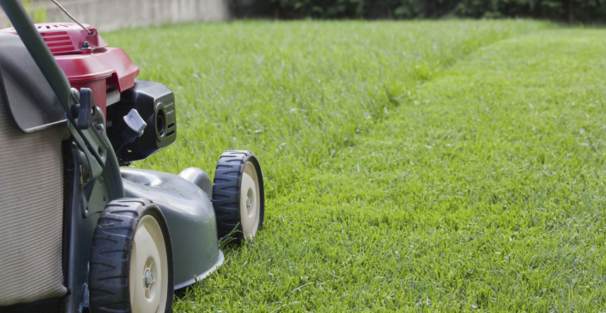 Freshly mowed lawn with clean edges and trimmed grass