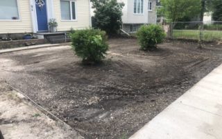 Lawn before fertilizer treatment - sparse grass with bare patches