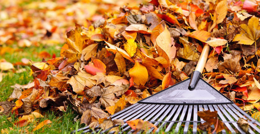 fall clean-up winnipeg