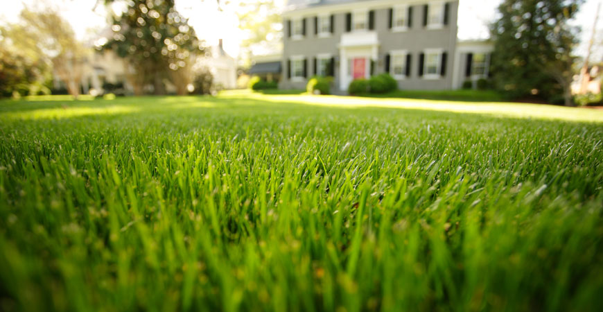 spring clean-up winnipeg, power raking