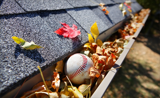 eaves cleaning